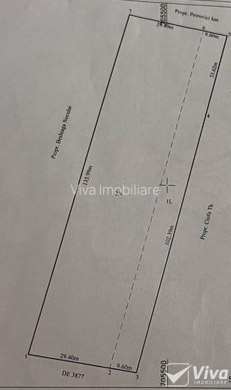 Teren 5300 mp Intravilan in Goruni – Tomesti - 6