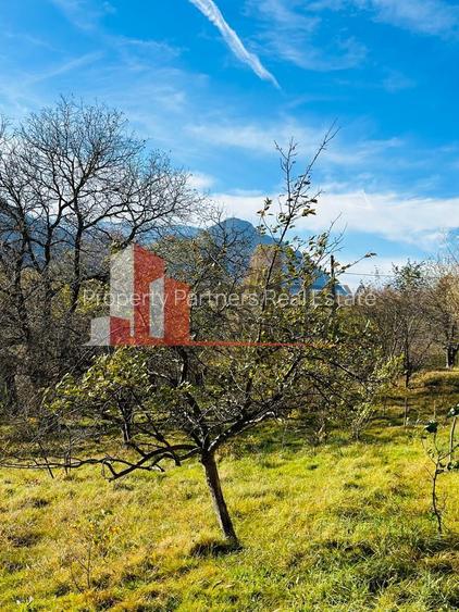 Teren Bran / Predelut cu priveliste 1840mp - 12