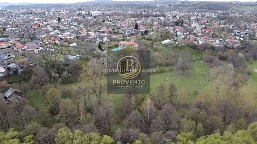 Oportunitate de investitie in Valenii de Munte - 10