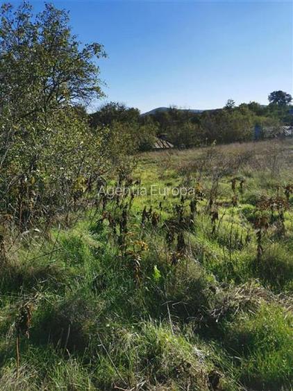 Teren de vanzare in Nifon Tulcea - 2