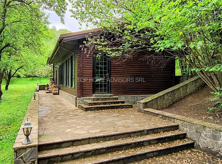 Casa de vacanta deosebita Breaza- Nistoresti - 28