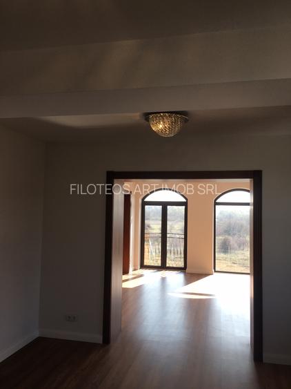 Inchiriere Vila De Lux Baneasa Sisesti - 20