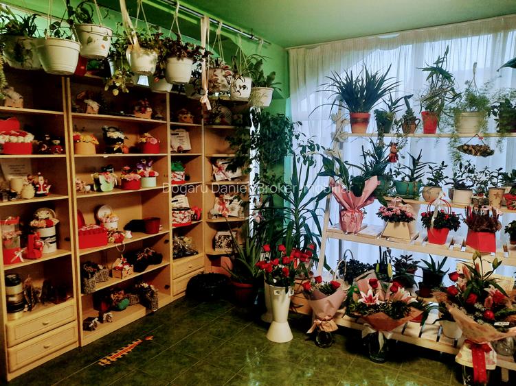 🏡 Casă de vânzare în Cristur – Str. Ulița Mare nr. 43 - 5