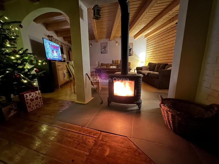 Casă de vacanță tip Chalet pe Valea Muresului  - 2