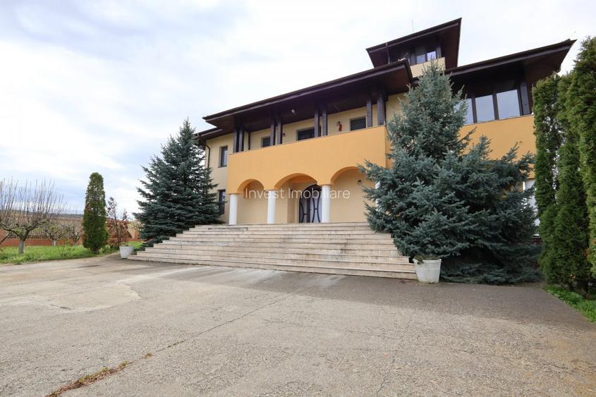 Proprietate spațioasă cu potențial turistic - Iași - 3