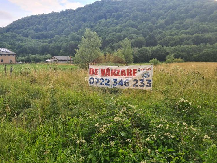 Teren extravilan, 2500 mp, Râșnov, Glăjărie - 4