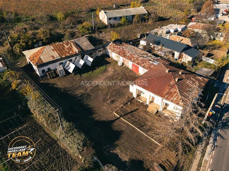 FILM! Casa boieresca autentica,domeniu de 4.000 mp intravilan,in podgoriile Odob - 18