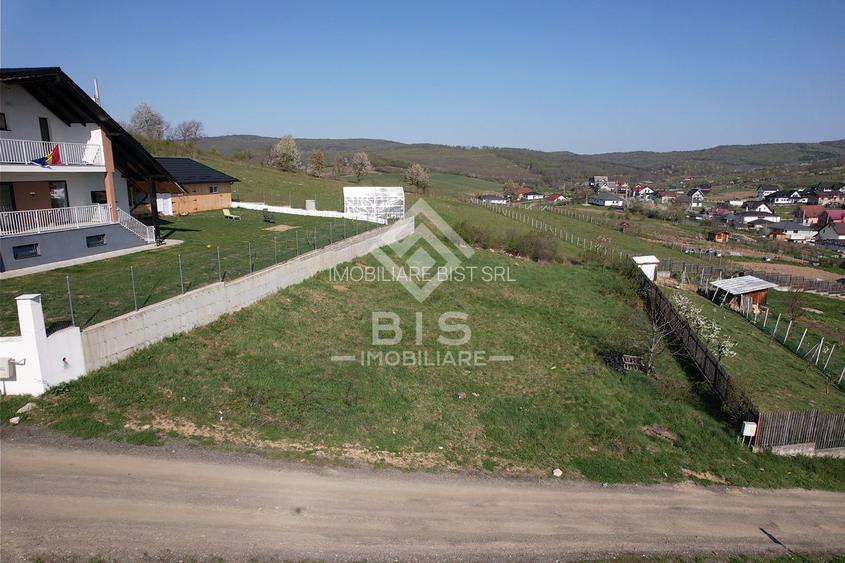 Teren de vanzare 10 ari - zona LEONI - 4