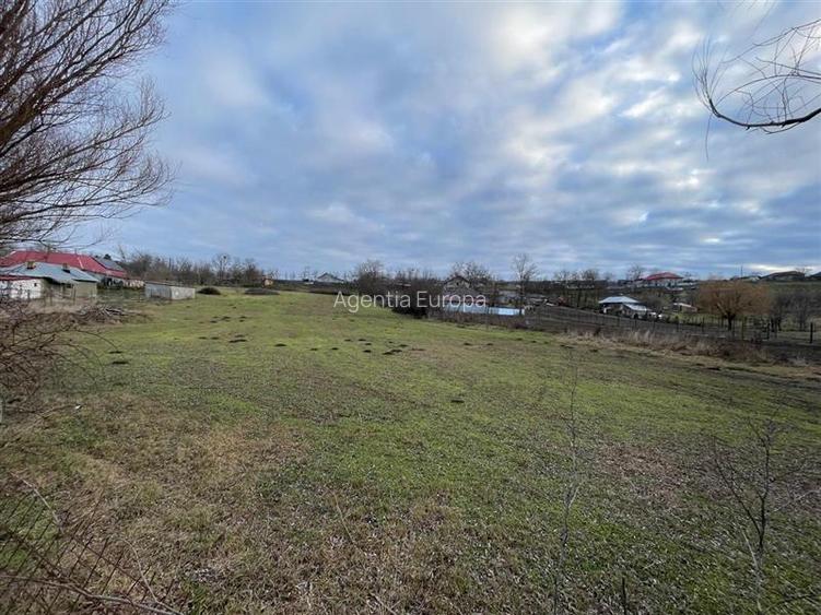 Teren de vanzare in Frecatei Tulcea - 8