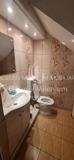 Vila Banu Manta Birouri - Victoriei - 8
