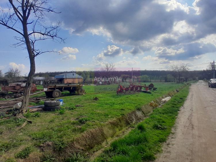 DE VANZARE TEREN 3400 MP IN SAT PODU ILFOVAT / COM BUTURUGENI (GR) - 24
