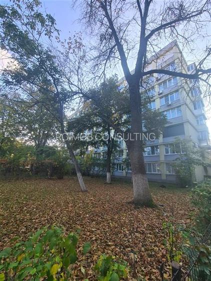 Herastrau Parc, 2 camere, cochet, dec., mobilat si utilat, zona verde. - 10