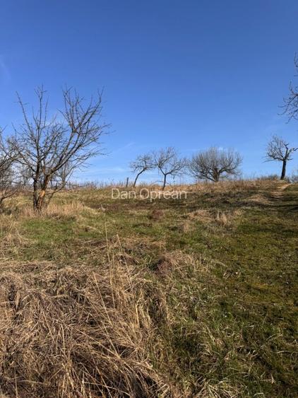 Teren intravilan panoramic 6700 mp – ideal vilă premium – aproape de Oradea - 8