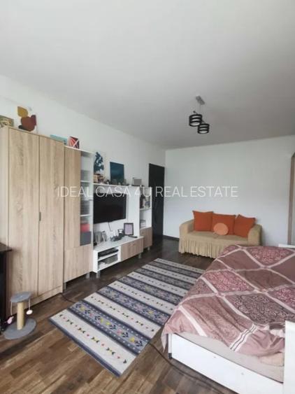 Apartament cu 1 camera in Tatarasi-Doi Baieti - 7