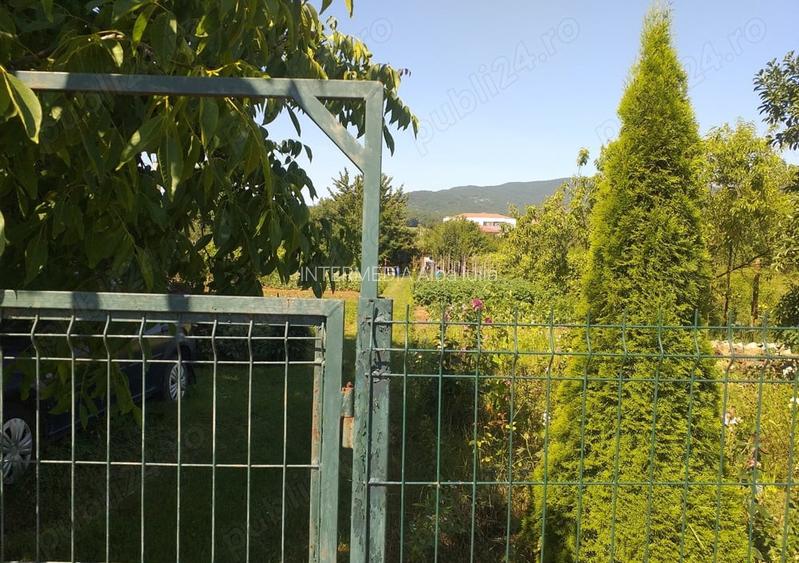 Teren Intravilan Vanzare 1400 mp. Alba Micesti deschidere 16m. Toate Utilitatile - 3