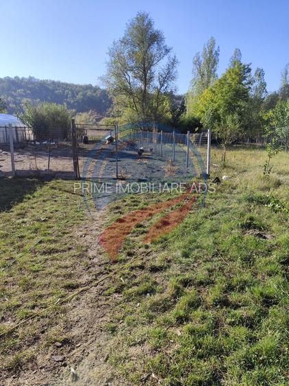 Casa cocheta la 30 minute de Craiova- Cornița Dolj - 13