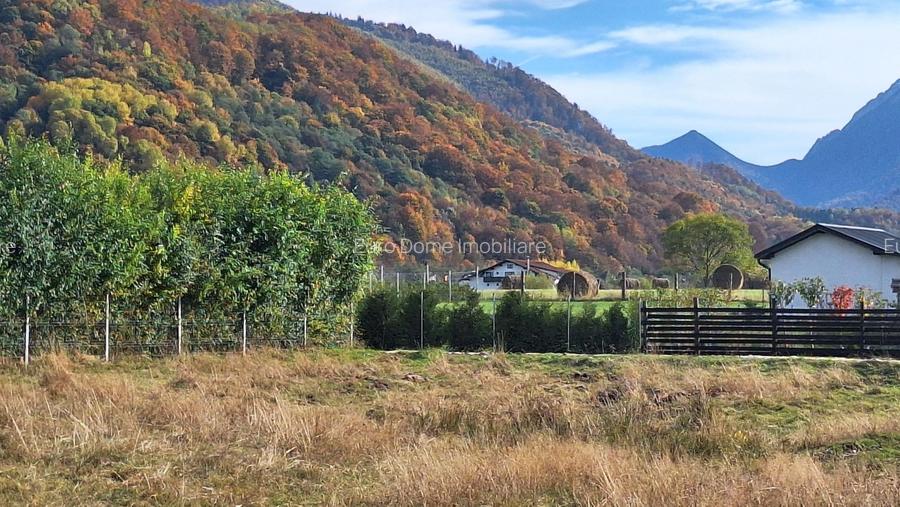 Teren 1000mp cu PUZ in Rasnov, Glajerie - 2