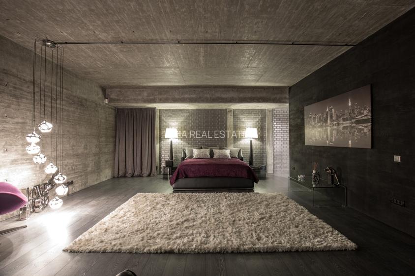 Proprietate unica de vanzare // Nordul Capitalei - 11