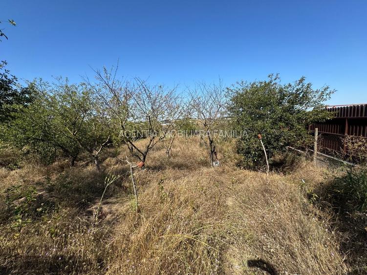 Cabana din lemn+ teren 2000 mp , 105.000 Euro negociabil, zona Metro - 11