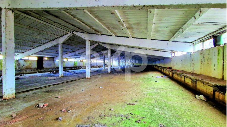 Hala industriala 2000 mp + teren 2776 mp | Rasnov – zona industriala Chimica - 6