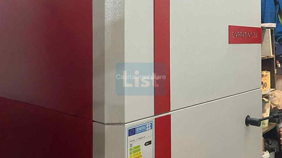 Casa de vacanta superba in Crivaia - 13