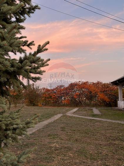 Proprietate speciala Dragomiresti Deal -Teren 15000 mp - 44