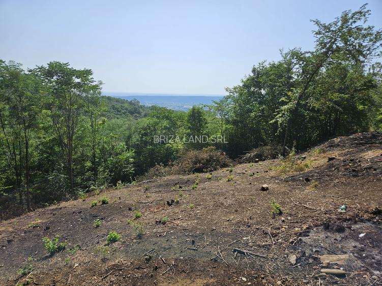 Prahova, orasul Boldesti-Scaeni, satul Seciu, teren 3007mp, d=36m - 7