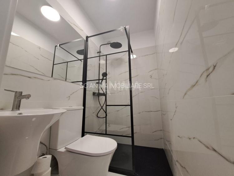Apartament 1 camera in zona ultracentrala, ideal birouri - 5