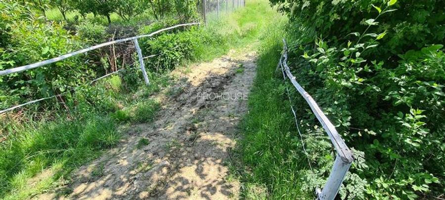 Teren 2033 mp- langa padure-  Margineni- Podis Dubas - 5