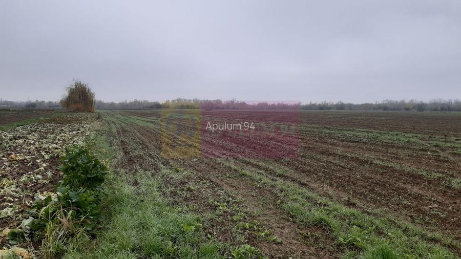 Teren Investiție aproape de București - 5