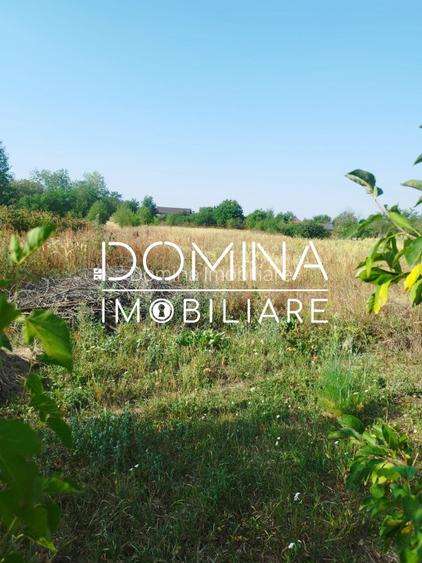 Teren de vanzare intravilan situat pe strada Varful Mandra, Targu Jiu - 5