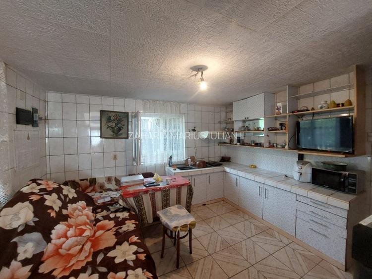 PROPRIETATE SUPERBA IN BIBIRESTI - 19