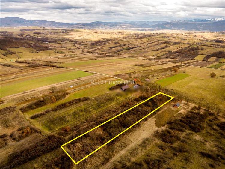 RECO Teren intravilan  Zona Vadu Crisului Bihor - 4