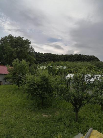 Vanzare Casa cu acces direct la padure in Valea Cucului, Comuna Iordacheanu - 15