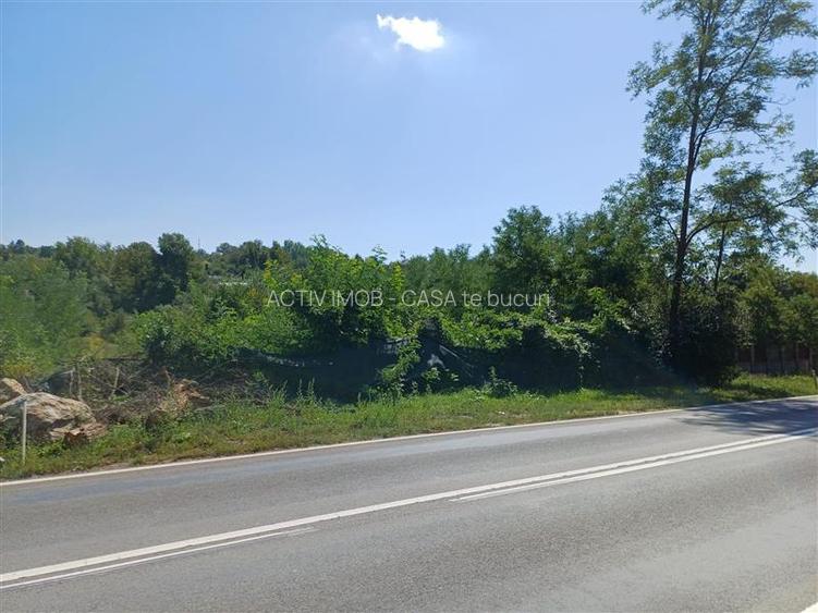 Resita, Teren Intravilan 5615 Mp., 25 Euro Mp., Calea Caransebesului, Memento - 19