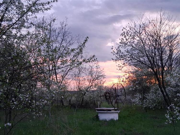 Vanzare teren intravilan 3715 mp – ideal pentru dezvoltare rezidentiala - 8