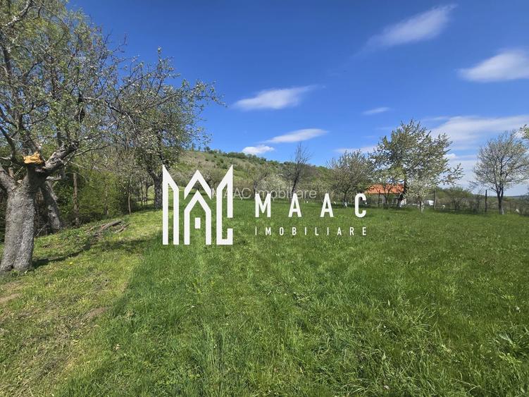 Teren 5400 mp superb cu livada si vedere spre munti Orlat - 9