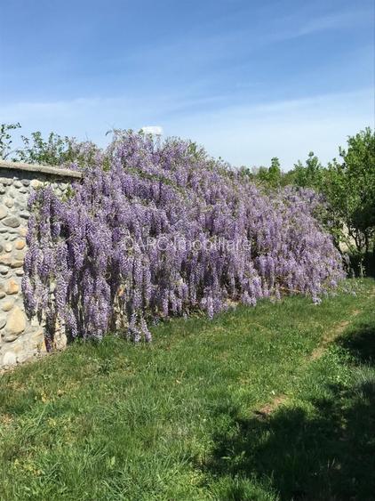 Vila spatioasa, teren generos - Crasna, Gorj - 7