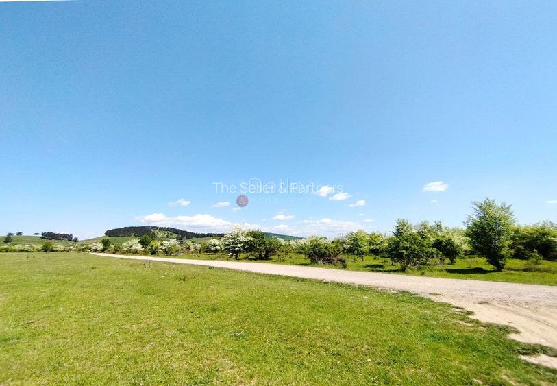 Teren Intravilan - 7