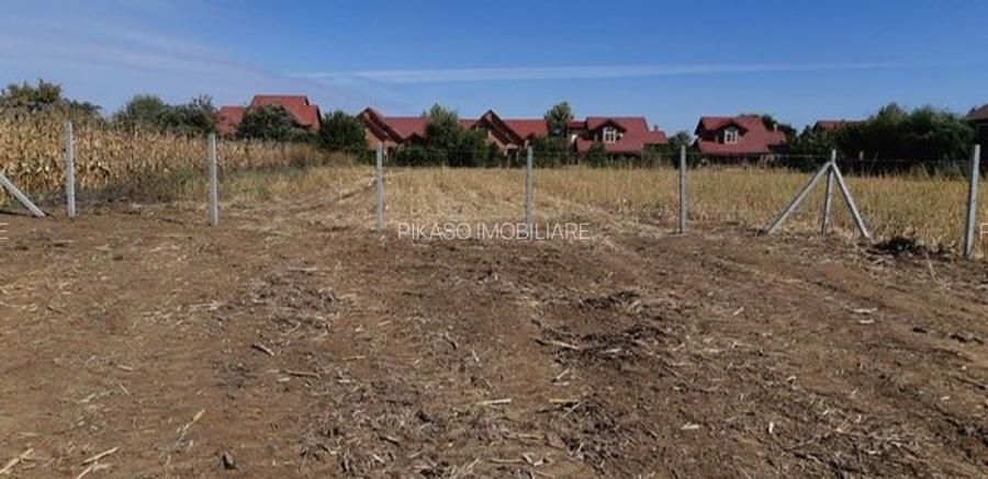 Teren Construcții intravilan de 980 mp, în Corbeanca - 5