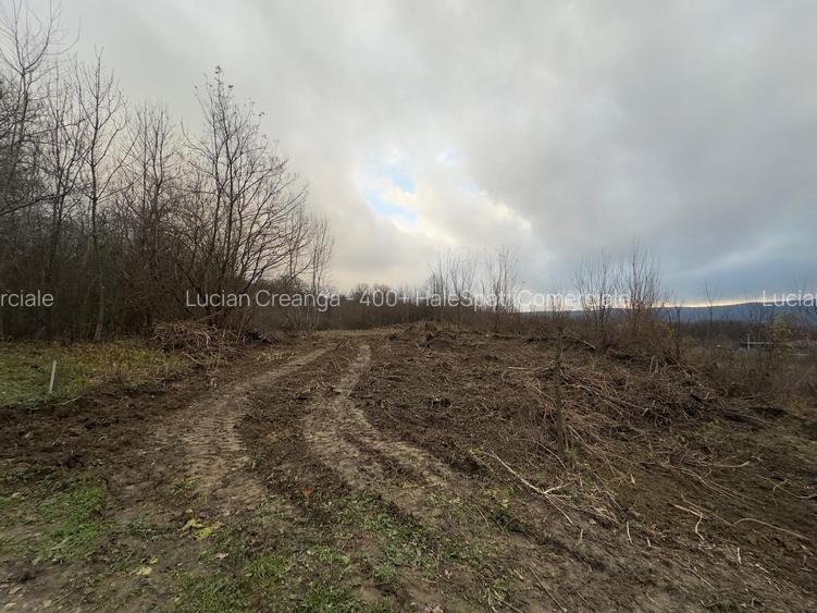 Teren parcele, de la 748mp la 3024mp, Barnova Sf. Ap. Petru - 16