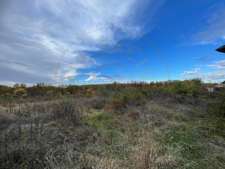 Teren Mosaia 6975 mp intravilan - 6