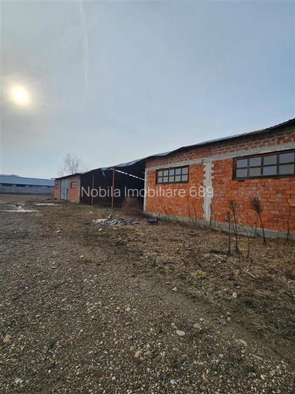 Teren Platou Premium, 57.662 mp, Deschidere Generoasă  400 ml la DJ One5 - 18