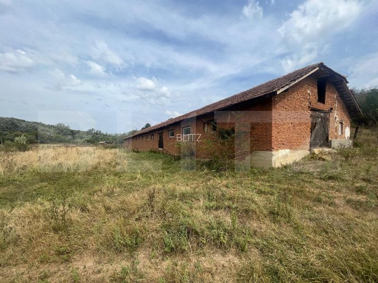 Ferma cu 3000 mp de teren si o constructie de 580 mp  - 2