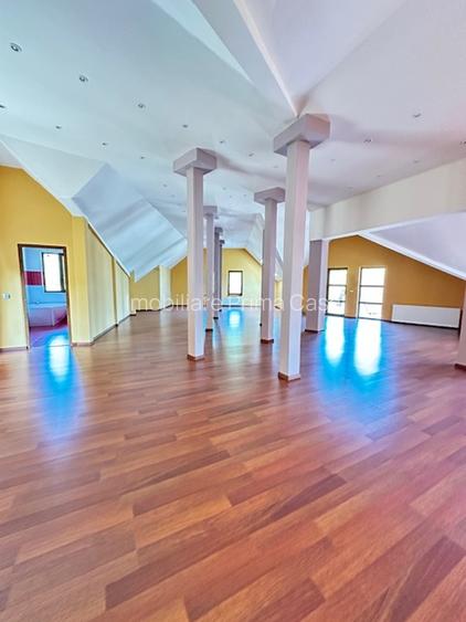 V. BORCUTULUI VILA 600mp P+E+M cu 2000mp teren! - 26