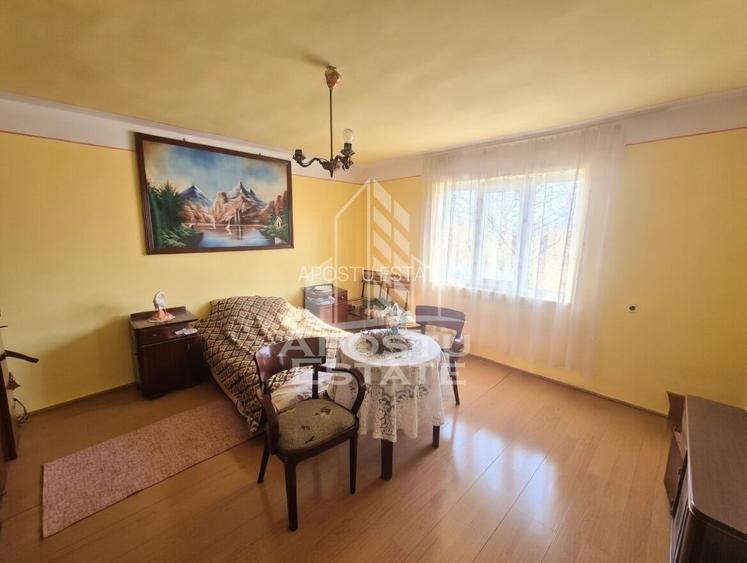 Casă individuală cu etaj, teren 3000 mp, grădină și solar – Satchinez - 9