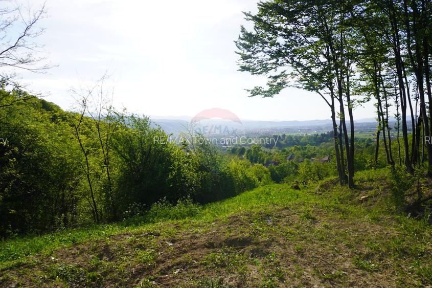 Teren 15,000mp Sighetu Marmatiei / Strada Mocăniței - 7