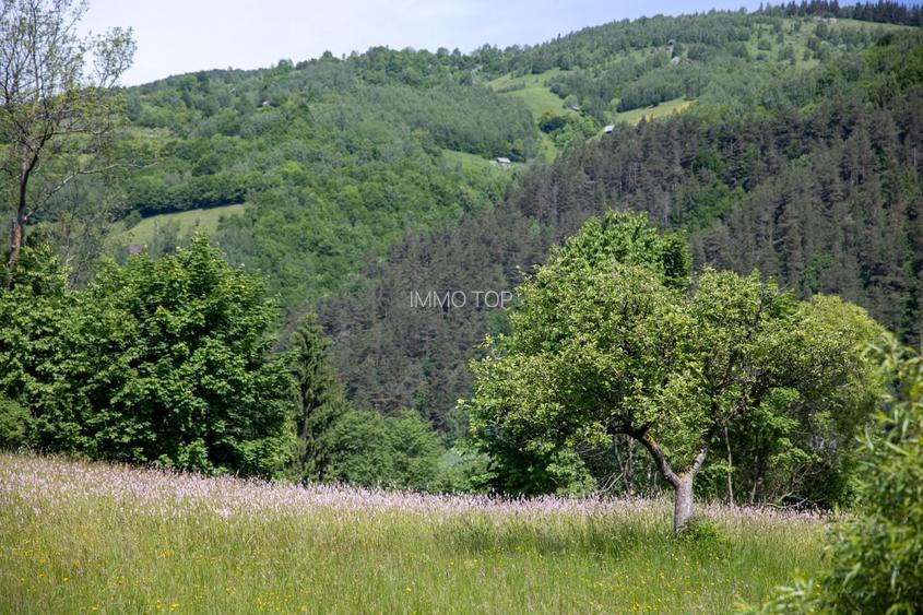 Teren intravilan - 1.050 mp în Bran cu utilitati – priveliște Bucegi - 4