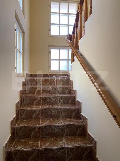 Vila 7 camere, 750mp-teren, BAILE HERCULANE - 15