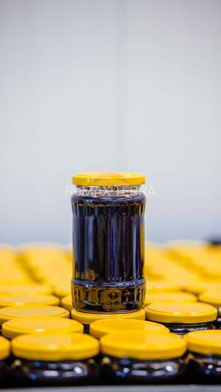 Plantatie de afine la cele mai inalte standarde, de vanzare! - 5